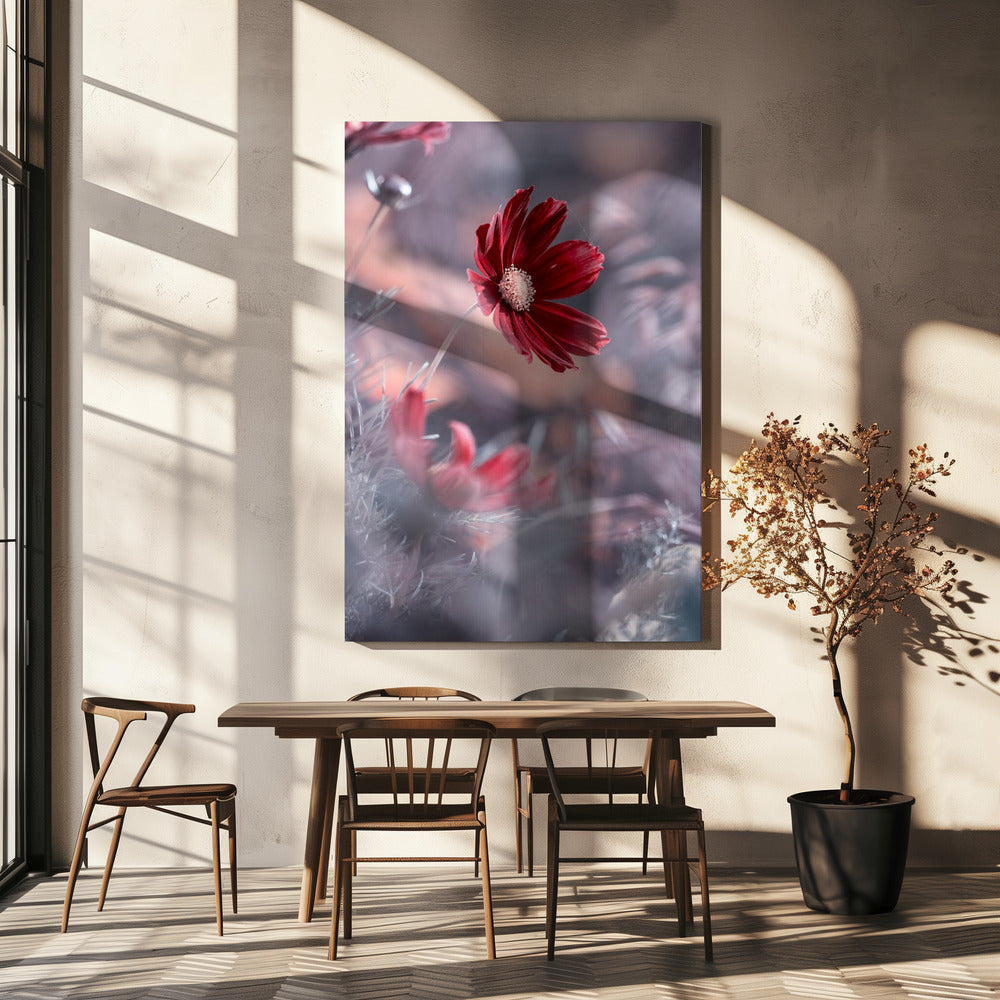 Carmen II | Canvas