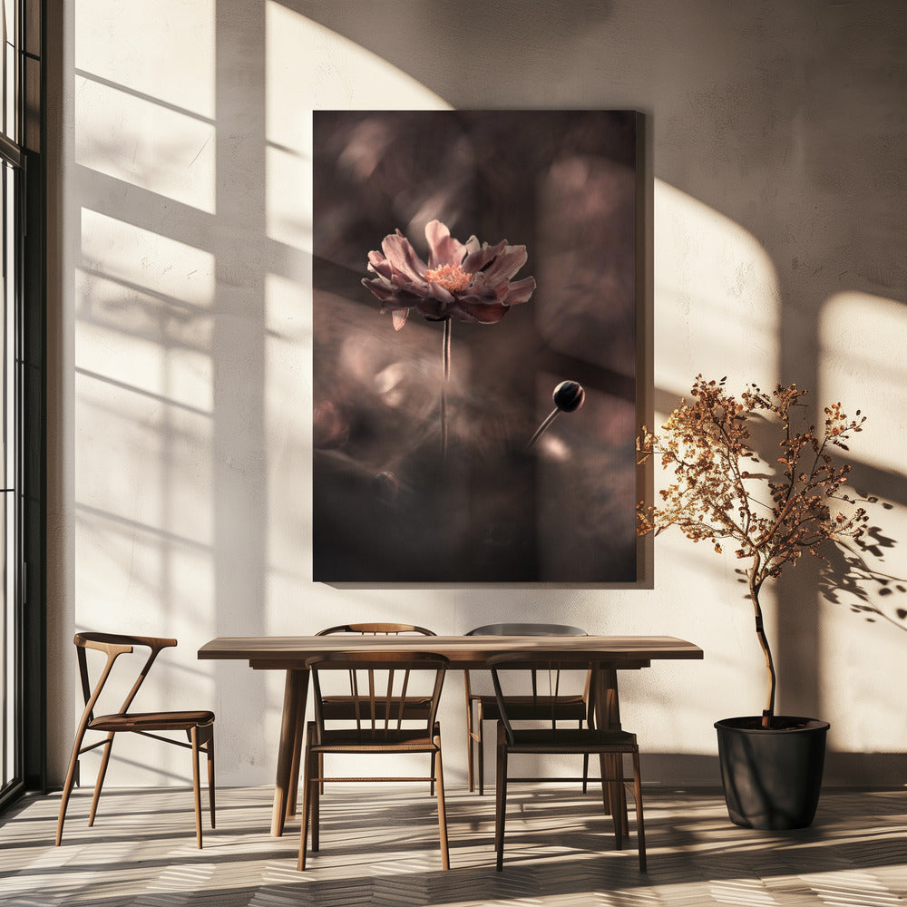 Un présent et un futur révolus. Un passé présent | Canvas