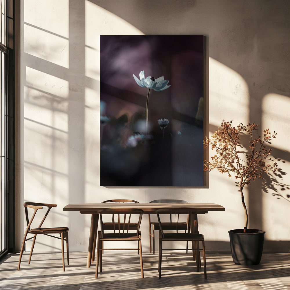 Elles, mes fleurs, émoi | Leinwand