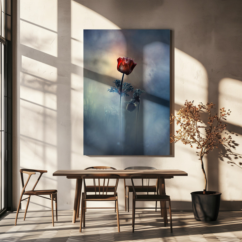 Where poetry and memories remain | Canvas