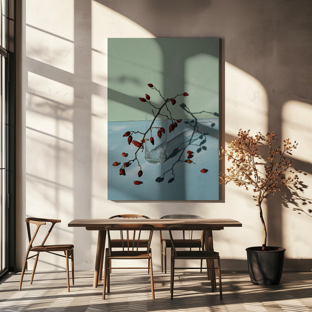 Light &amp; shadow | Canvas