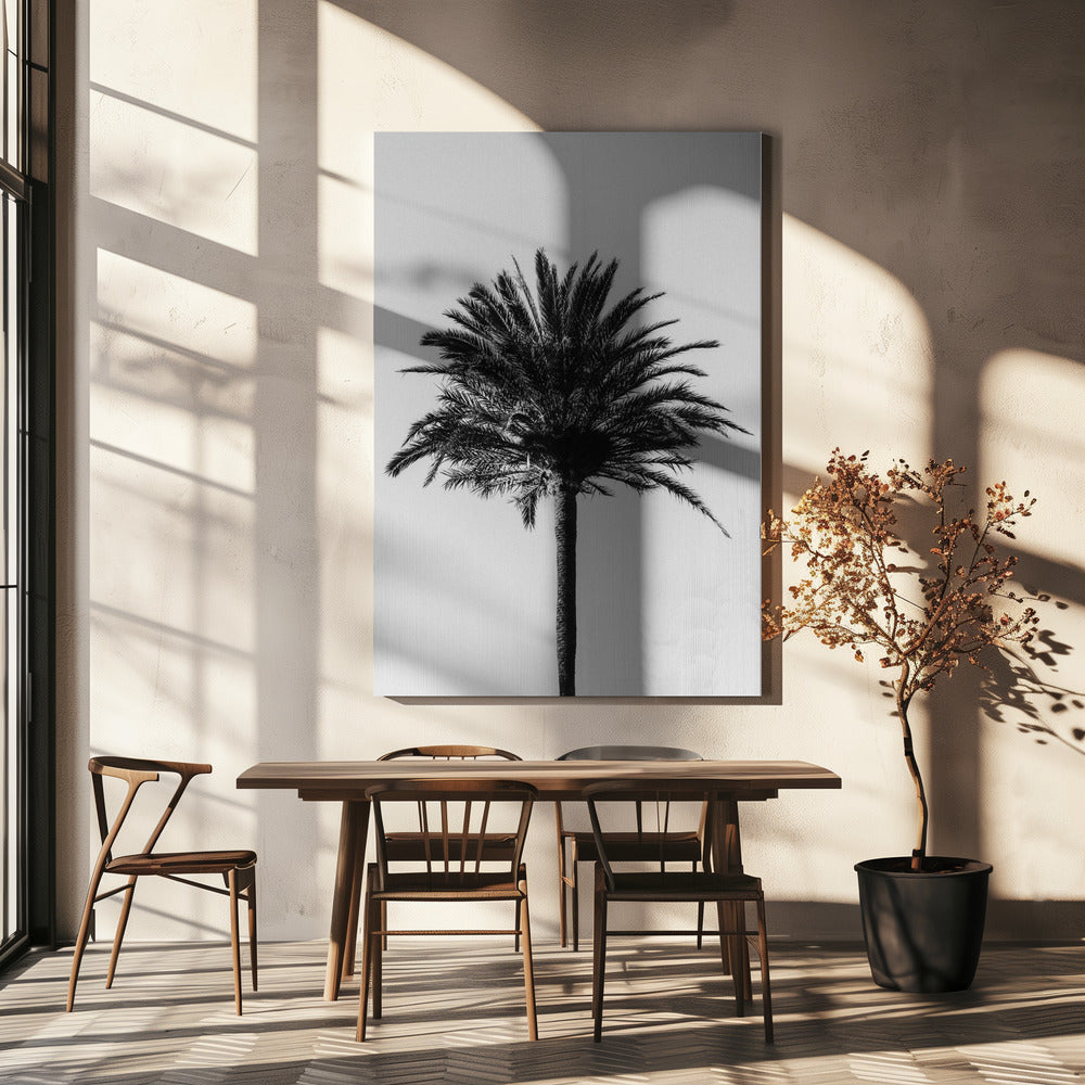 Palme_003 | Leinwand