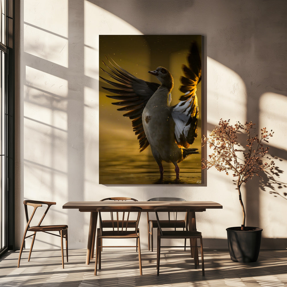 Open  Heart | Canvas