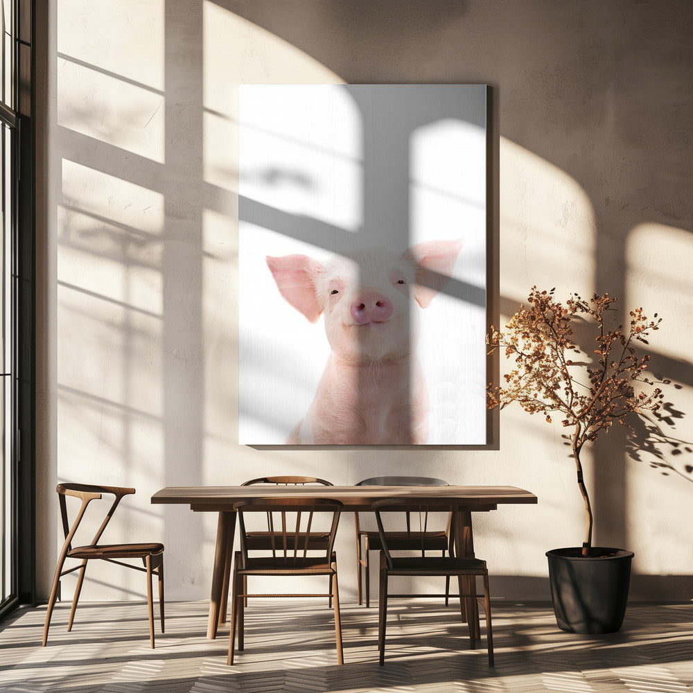 Babyschwein | Leinwand