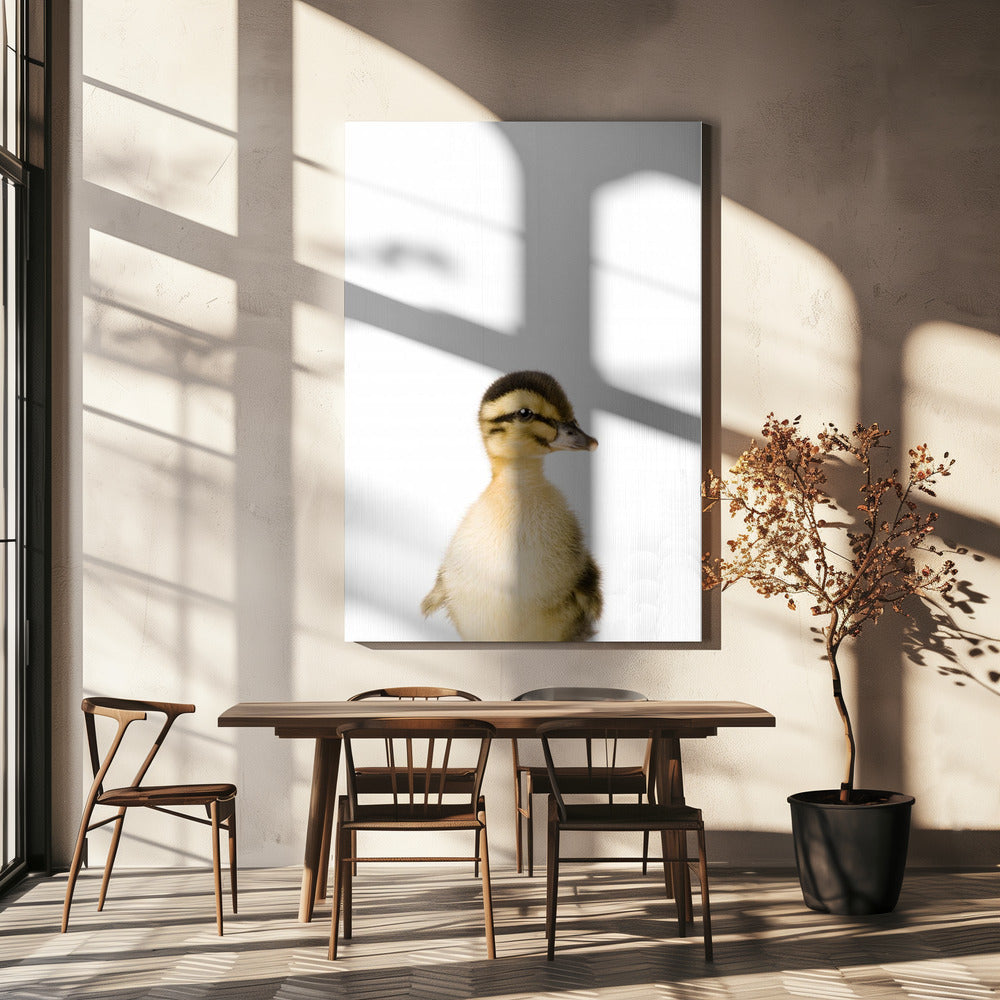 Baby-Ente | Leinwand