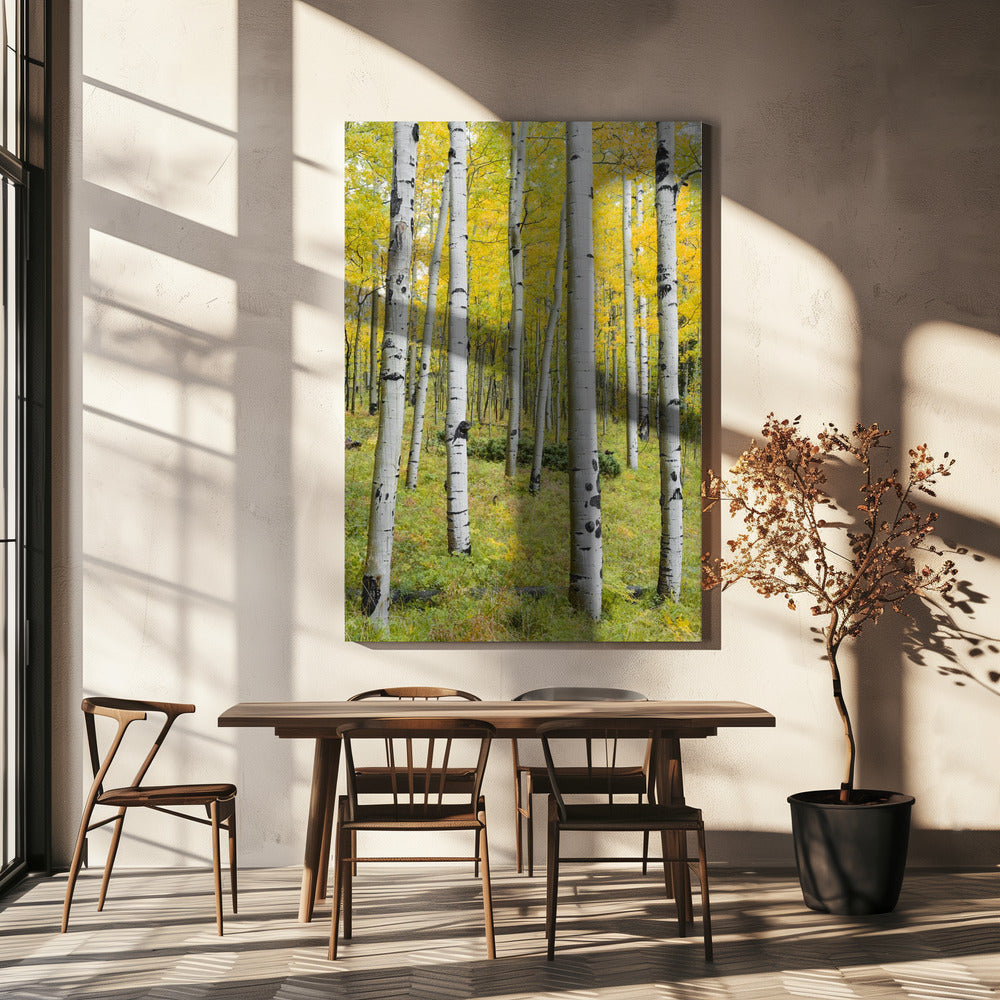 Gelbe Birken vertikal | Leinwand