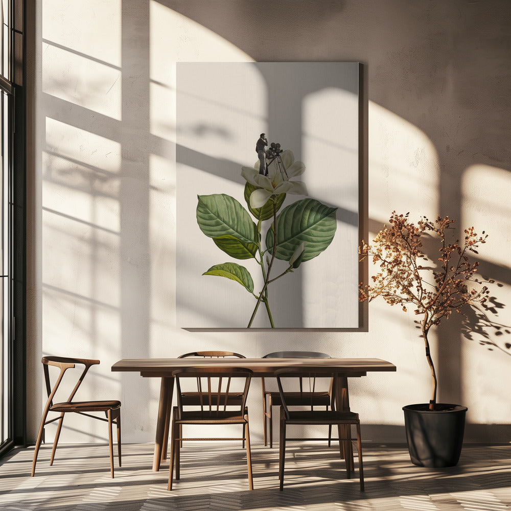 Botanischer Vintage-Kameramann | Leinwand