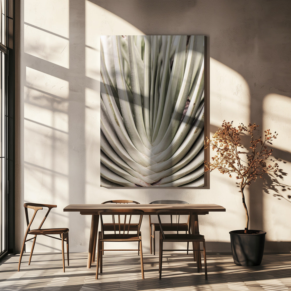 Desert Fan Dance | Canvas