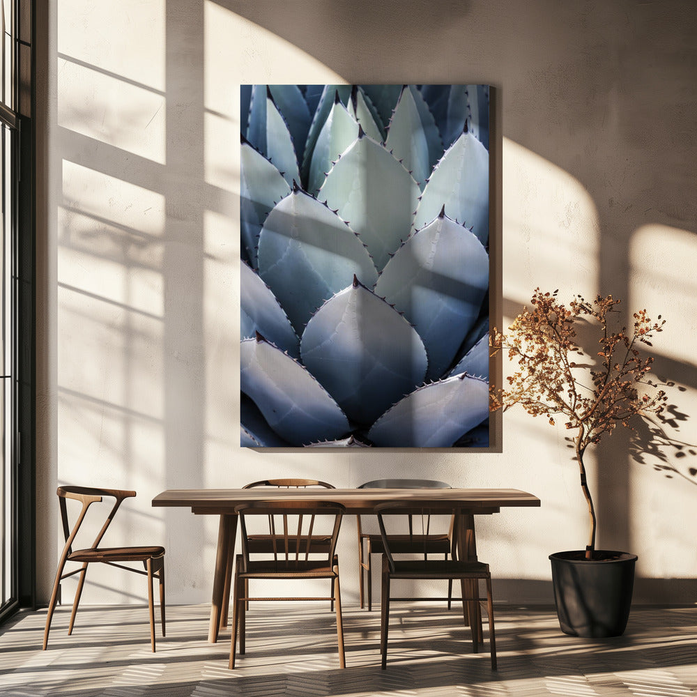 Agave Geometry | Canvas