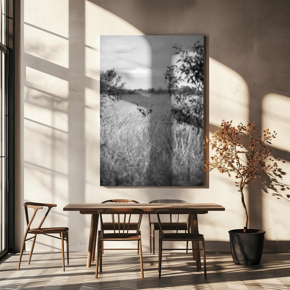 Versteckt im Gras | Leinwand