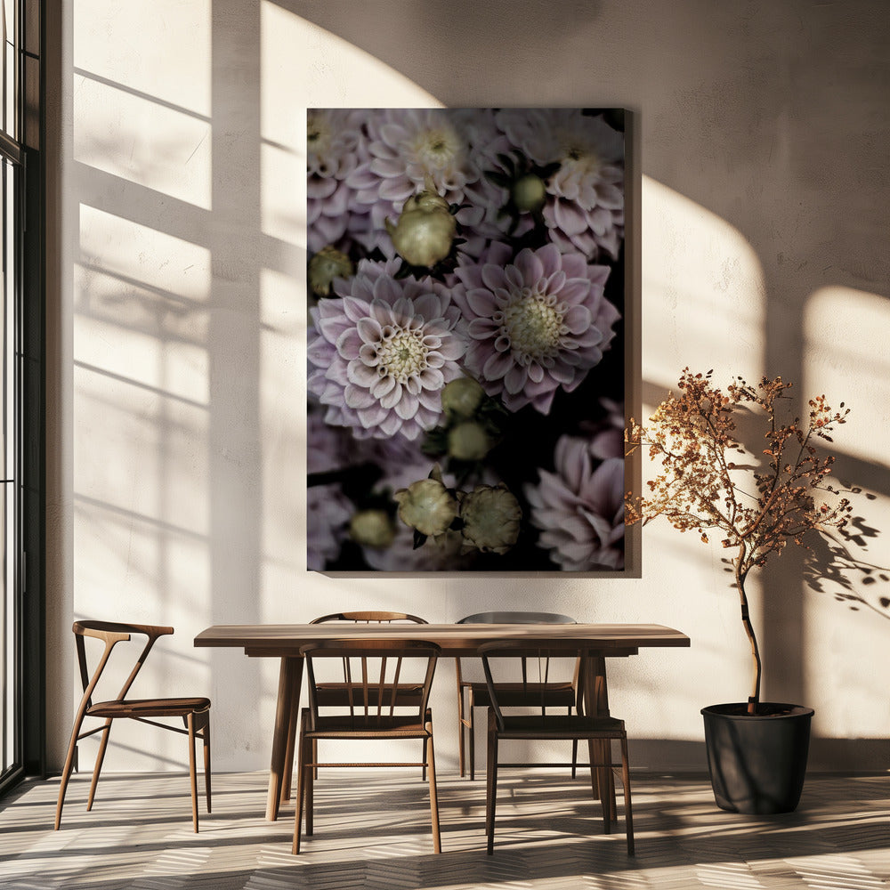 Blütenblätter in Blüte | Leinwand