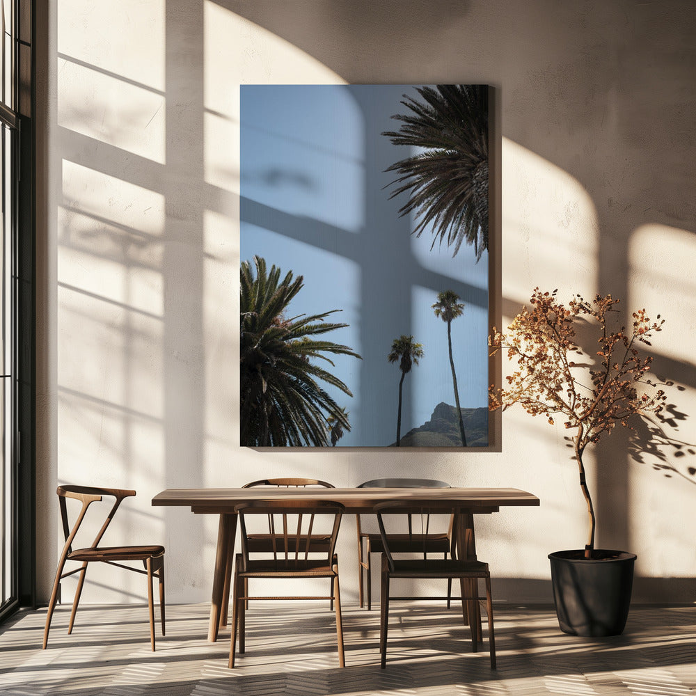 Sonnige Palmenhöhen | Leinwand