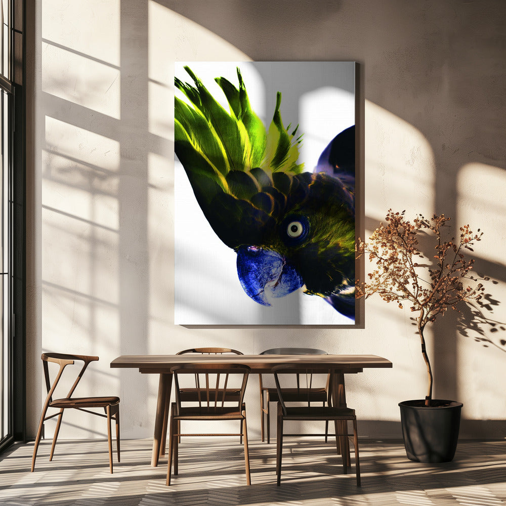 Lebendiger Vogelblick | Leinwand