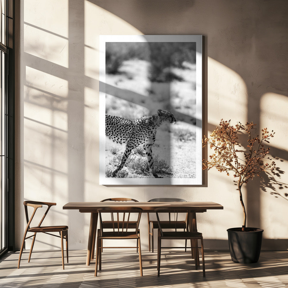 Ein laufender Gepard | Leinwand
