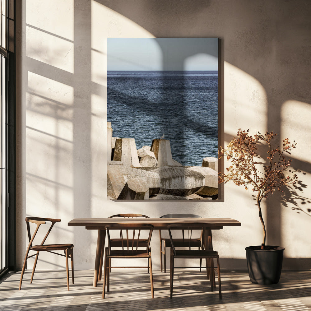 Möwe am Meer | Leinwand