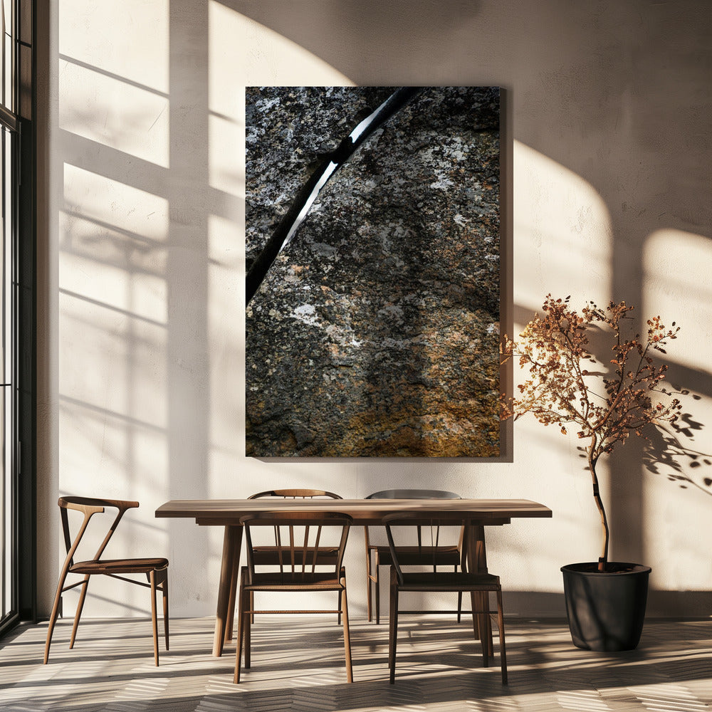 Rissige Erdader | Leinwand
