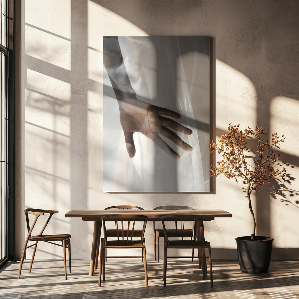 Hand Through Sheer | Canvas