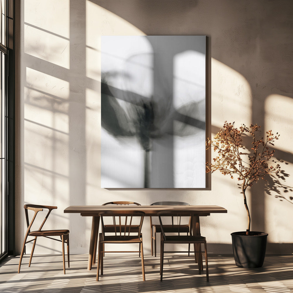 Mono Tulpe | Leinwand
