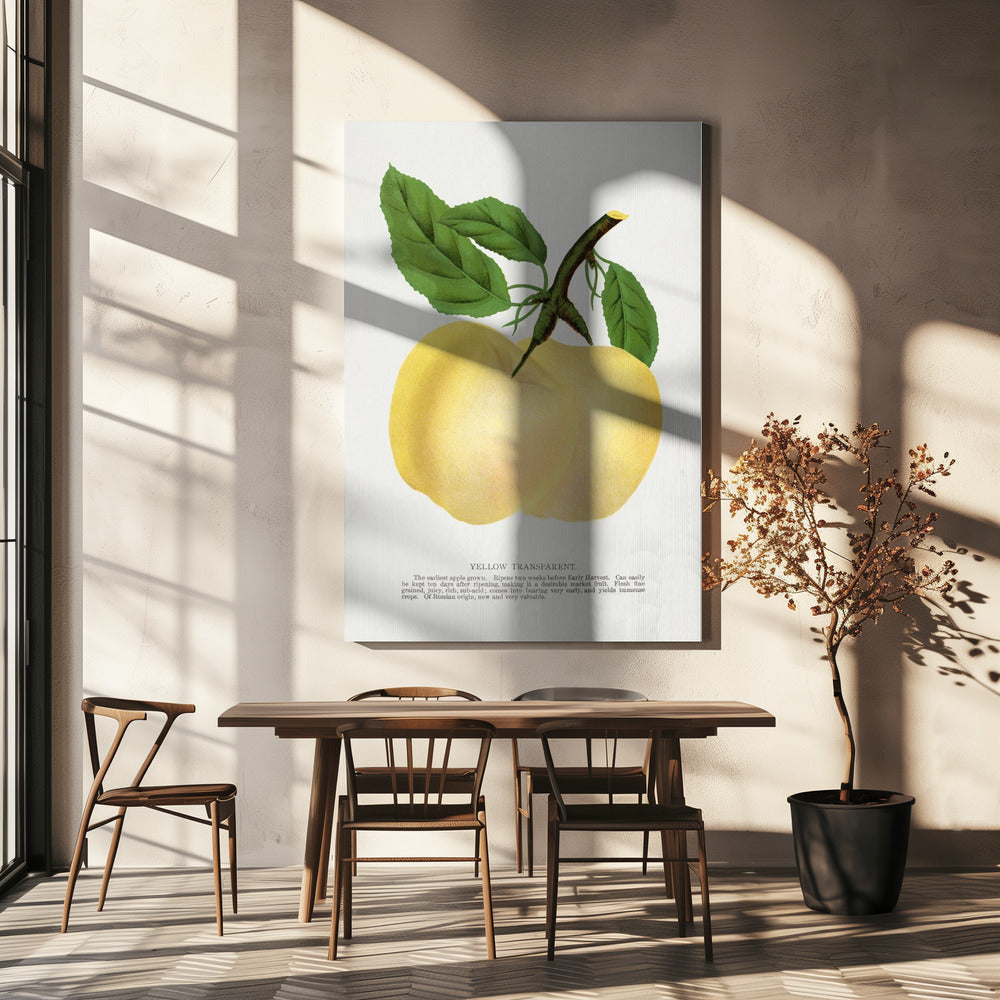 Gelbe transparente Apfel-Lithografie | Leinwand