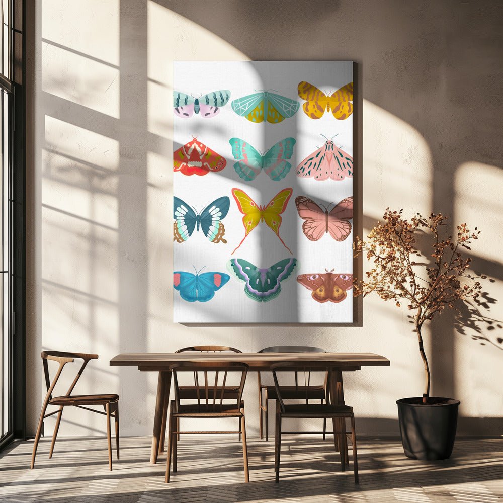 Butterfly | Canvas