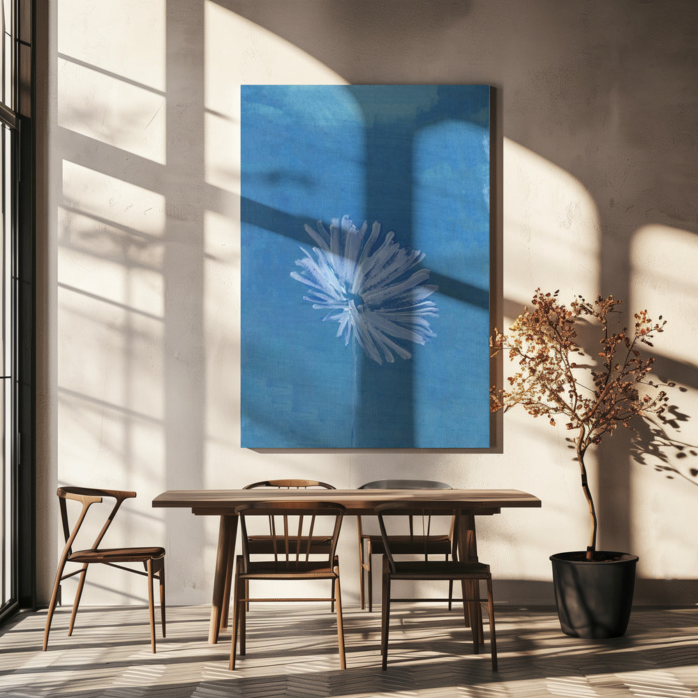 Weiße Blume auf blauem Hintergrund | Leinwand