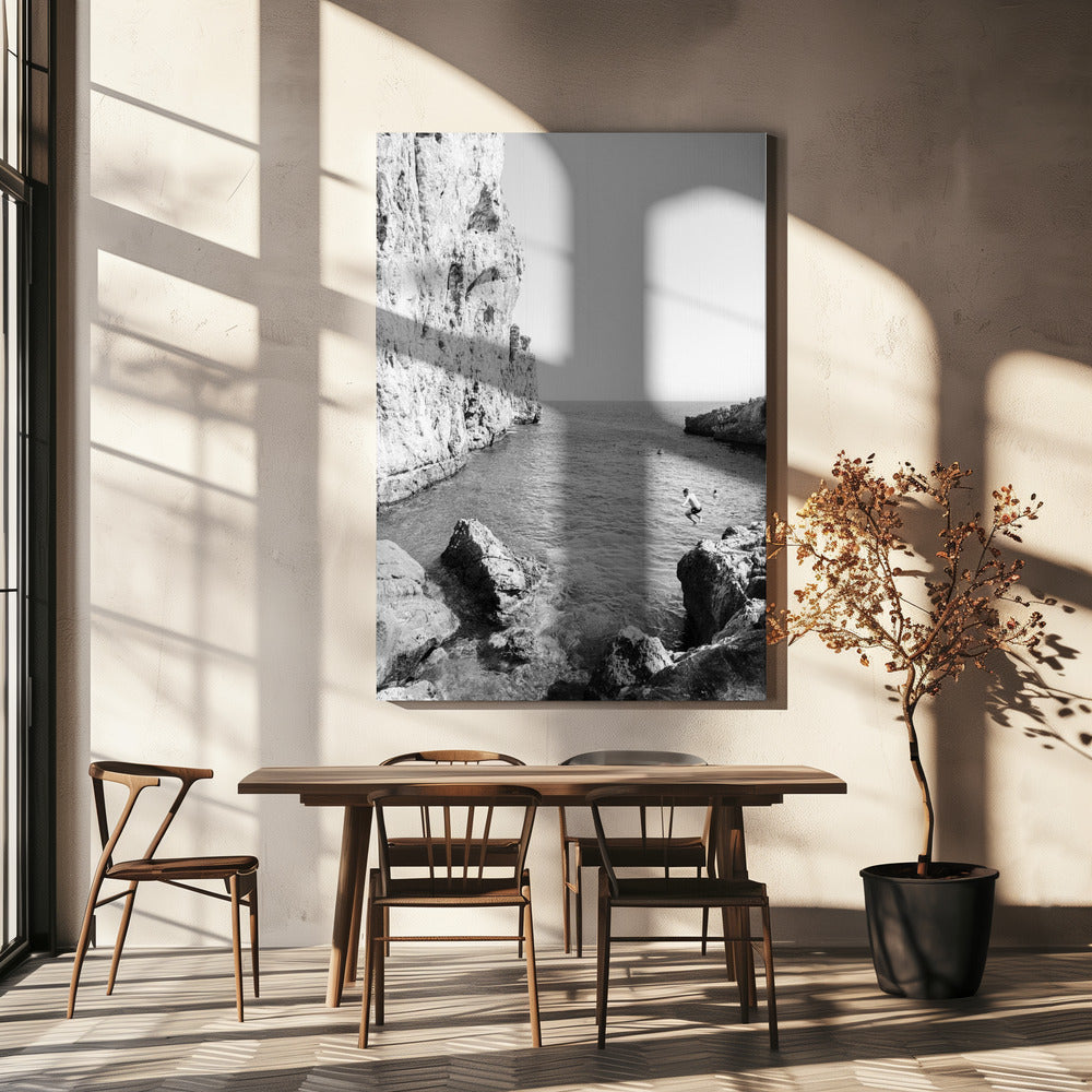 The Dive | Canvas