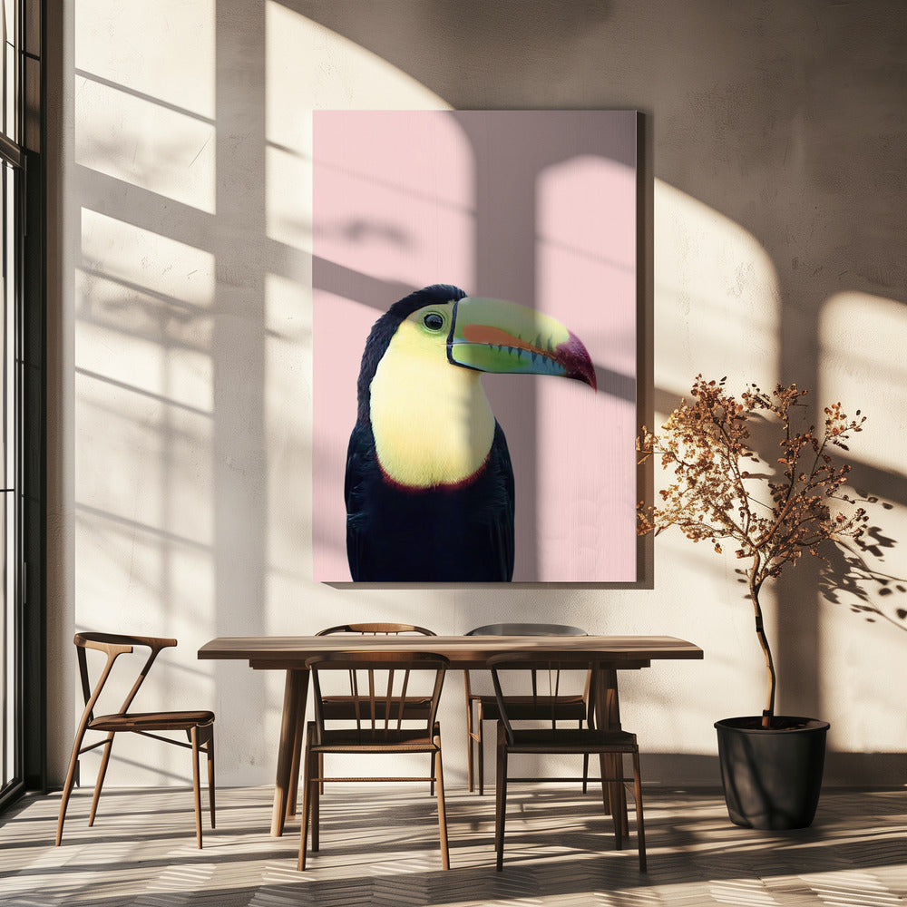 Toucan on Pink | Canvas