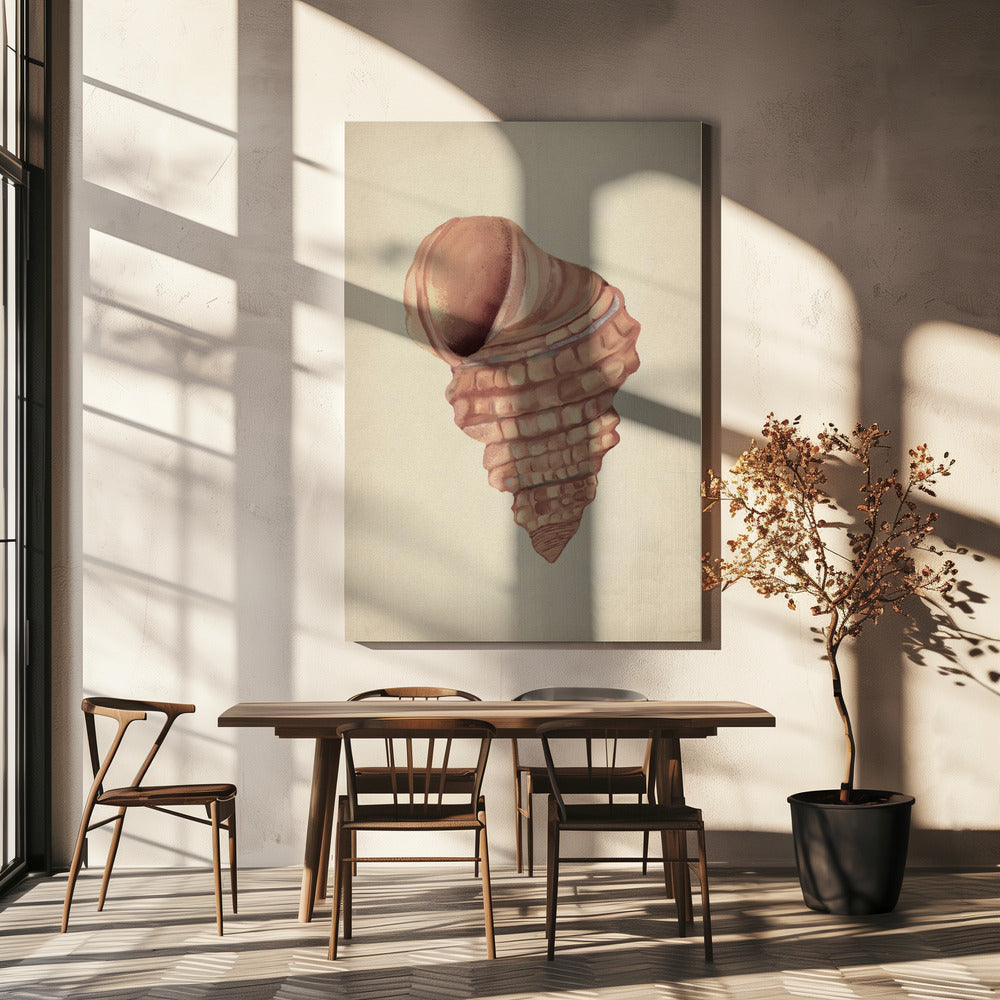 Pink seashells | Canvas