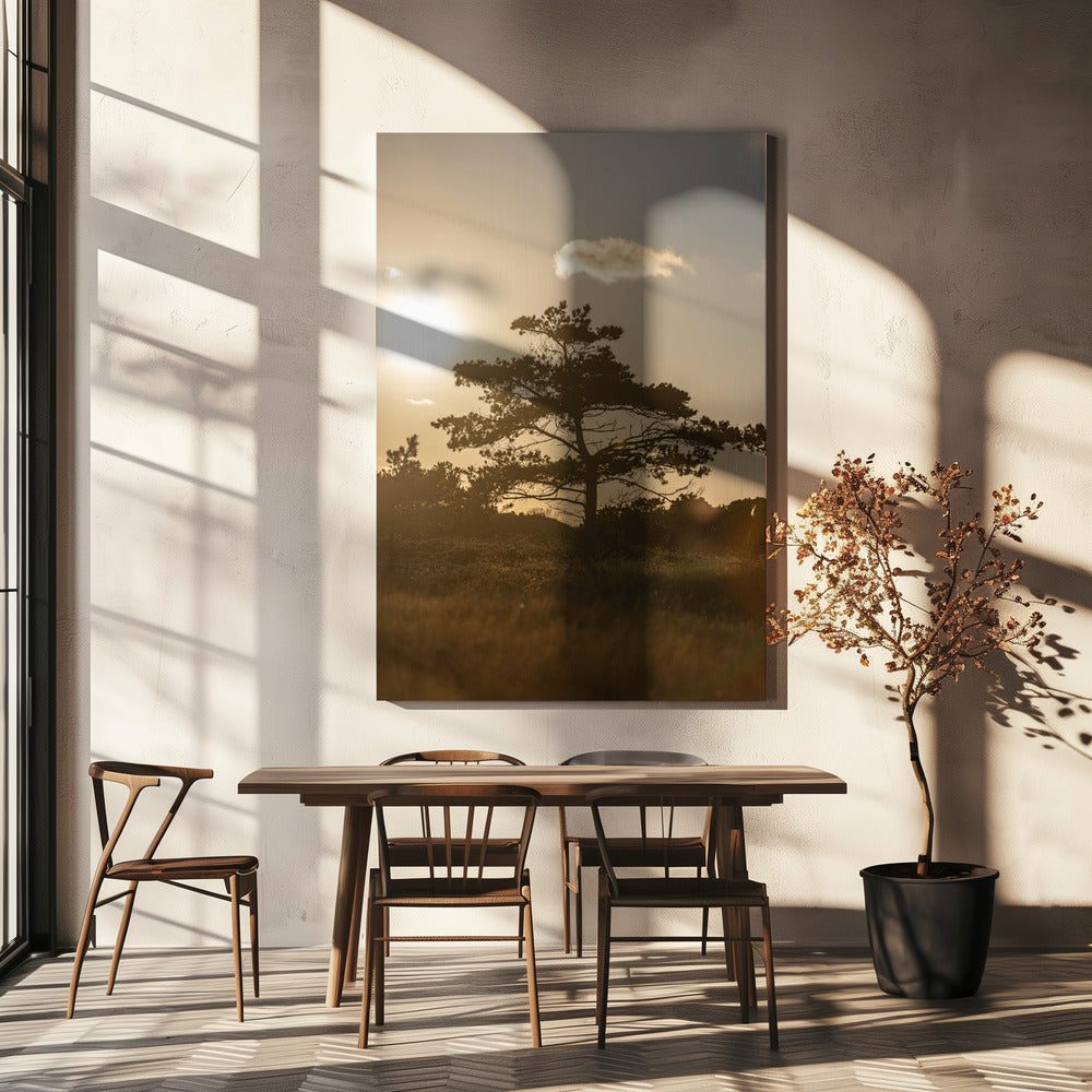 Baum in den Dünen 1 | Leinwand