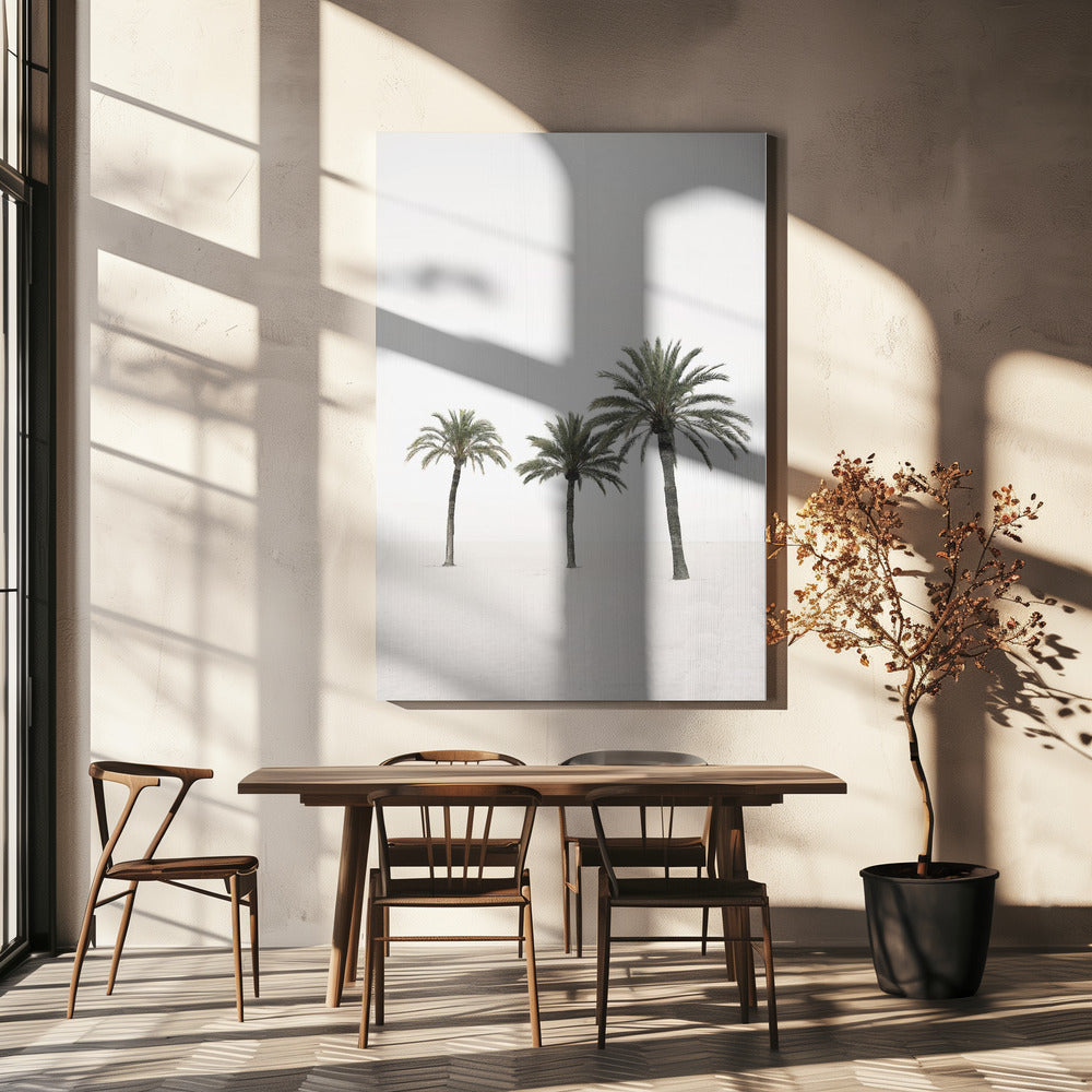 Palms | Canvas