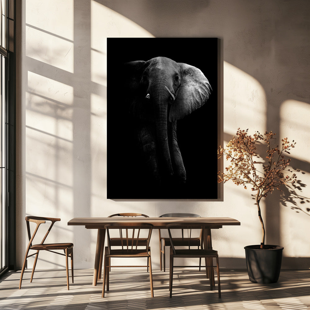 Elefant! | Leinwand