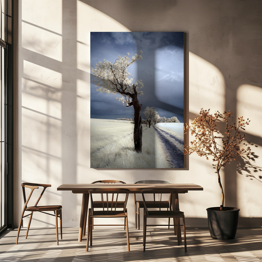 IRenka | Canvas