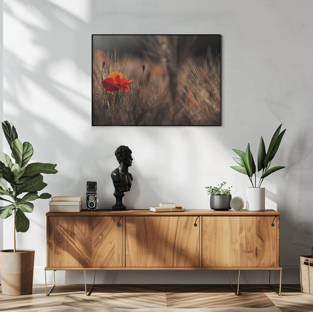 Mohn mit Mais | Poster