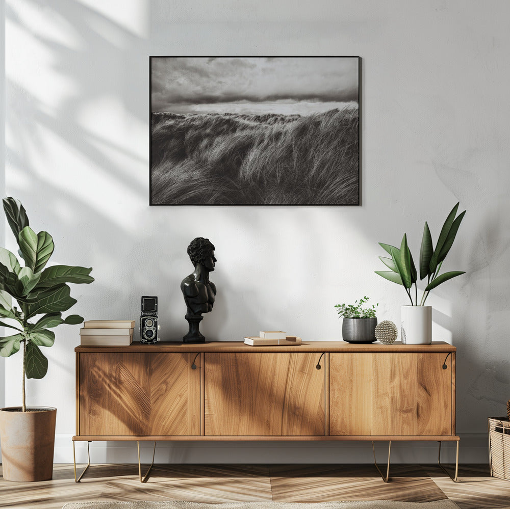Dunes of grass | Poster
