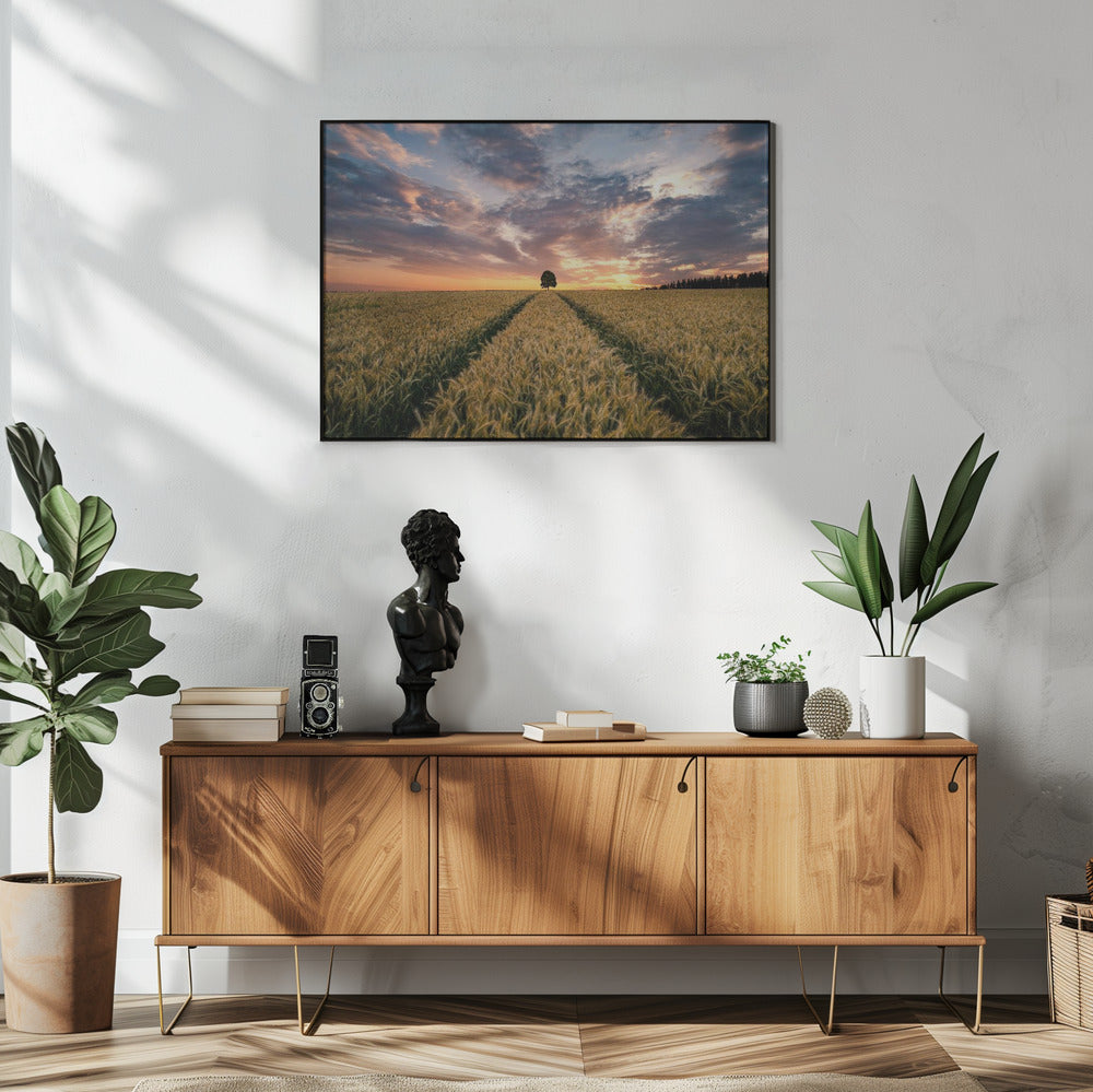 Field of dreams | Poster