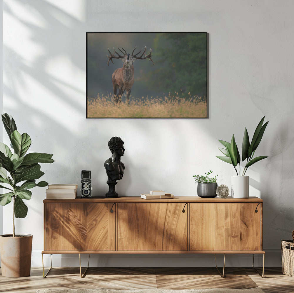 Deer wedding Song | Poster