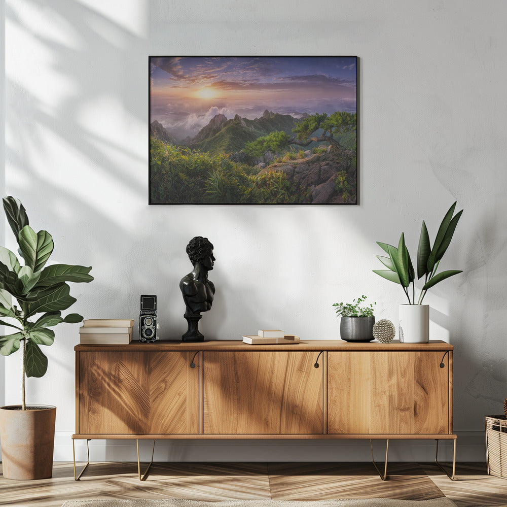 Kiefer auf dem Felsen | Poster