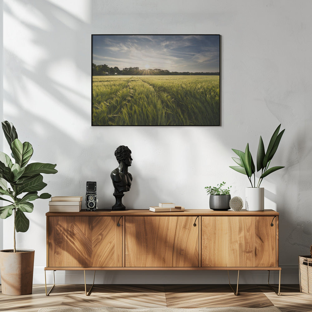 Barley Meadow | Poster