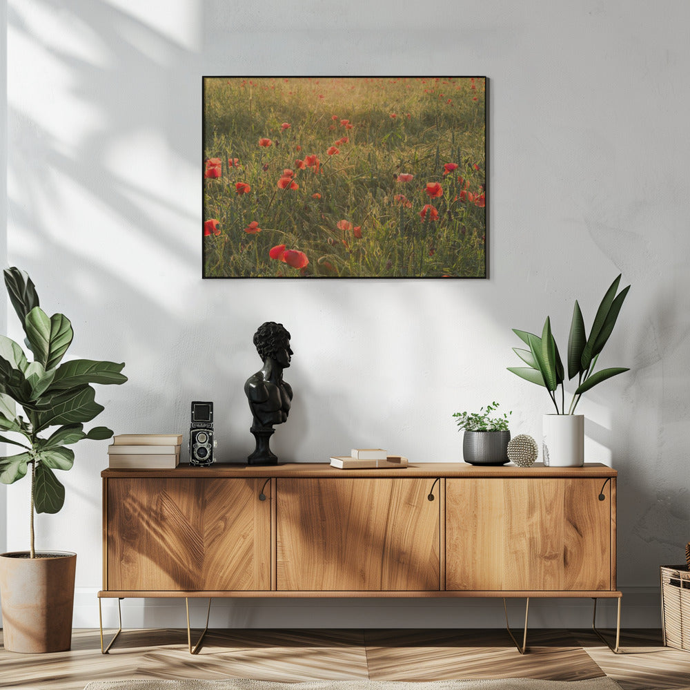 Mohnwelt II | Poster