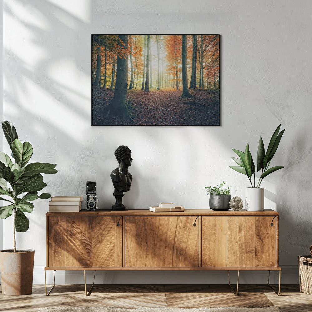 Herbst im Wald | Poster