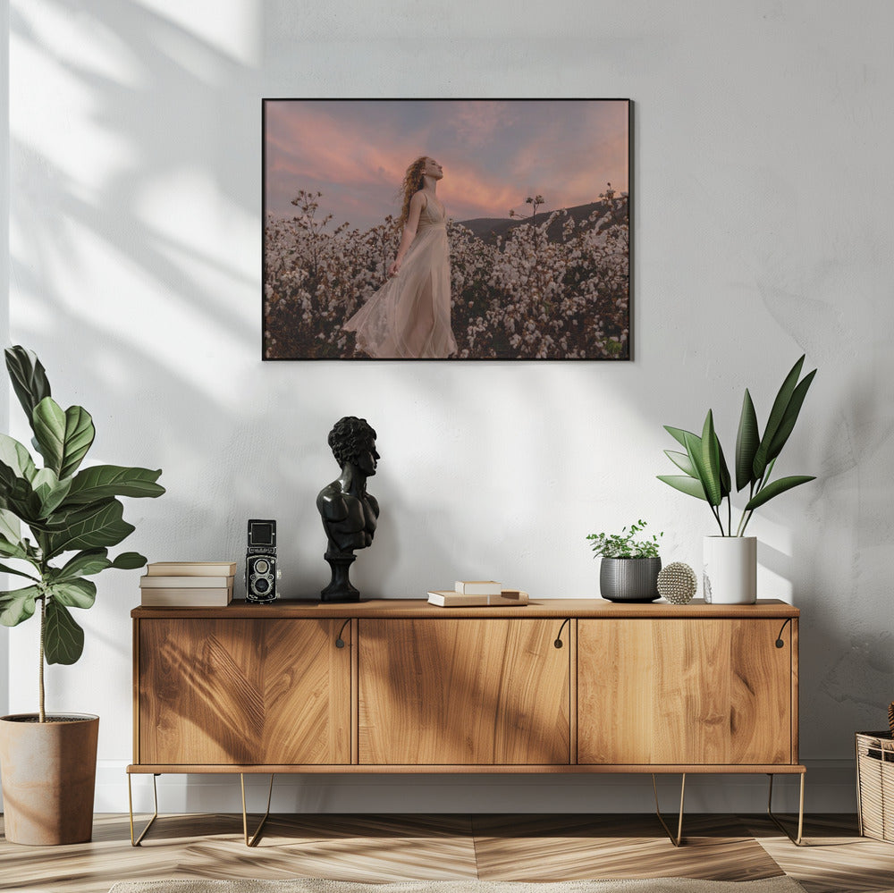 Sonnenuntergang im Baumwollfeld | Poster