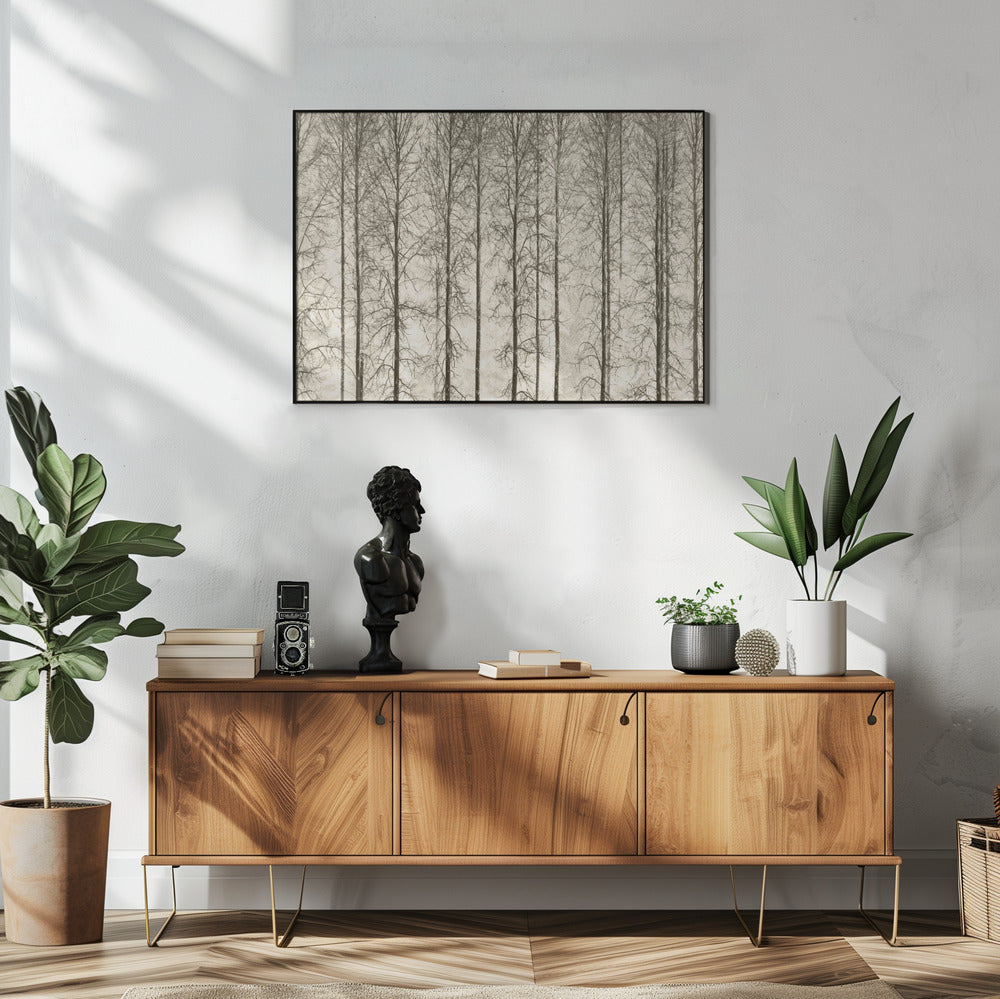 Aspens | Poster