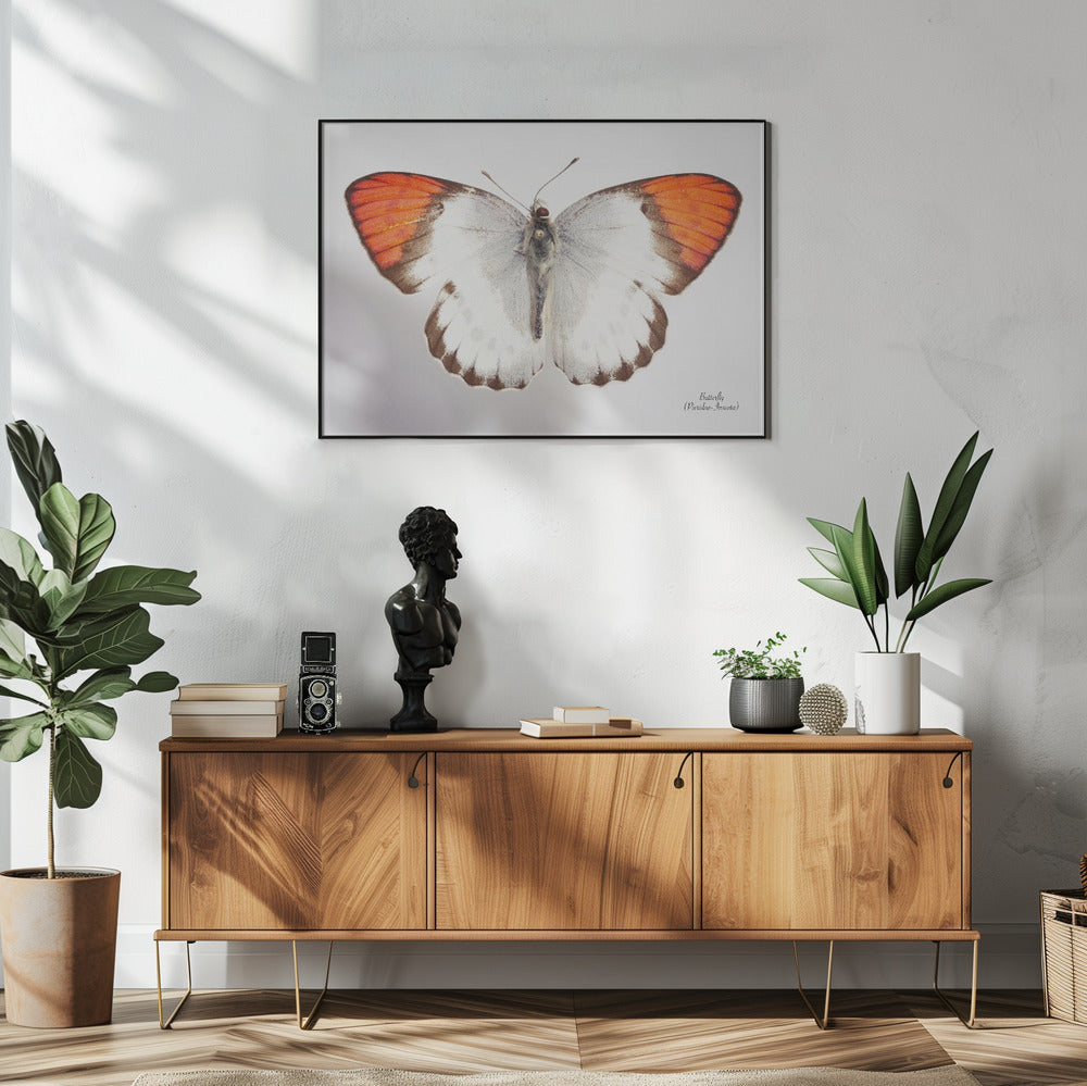 Schmetterling - 3 | Poster