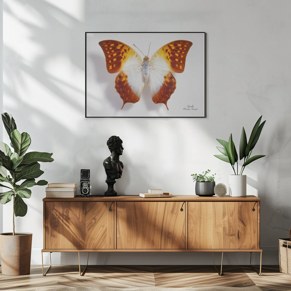 Schmetterling - 4 | Poster