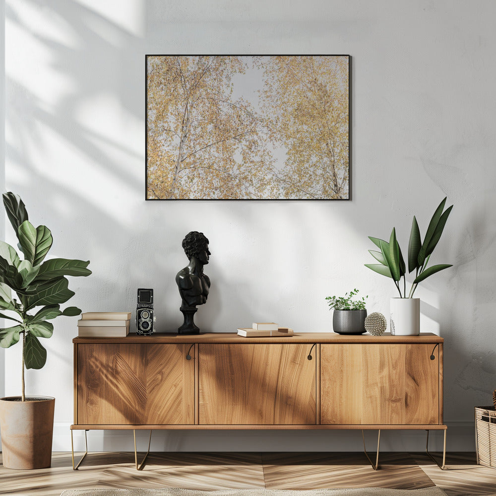 Birken | Poster