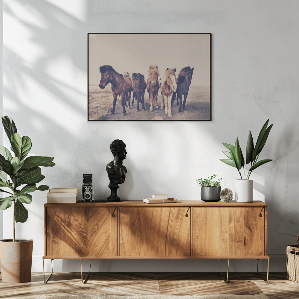 Pferde | Poster