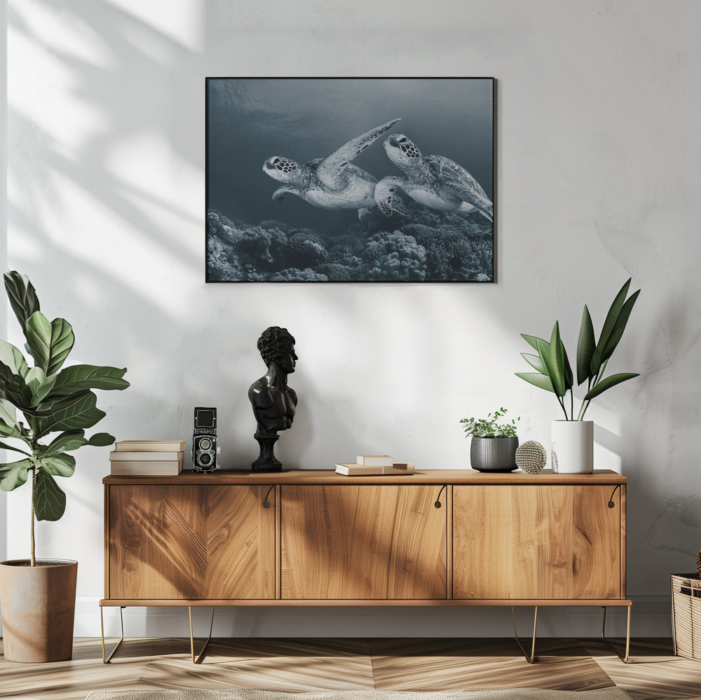 Twin dance | Poster
