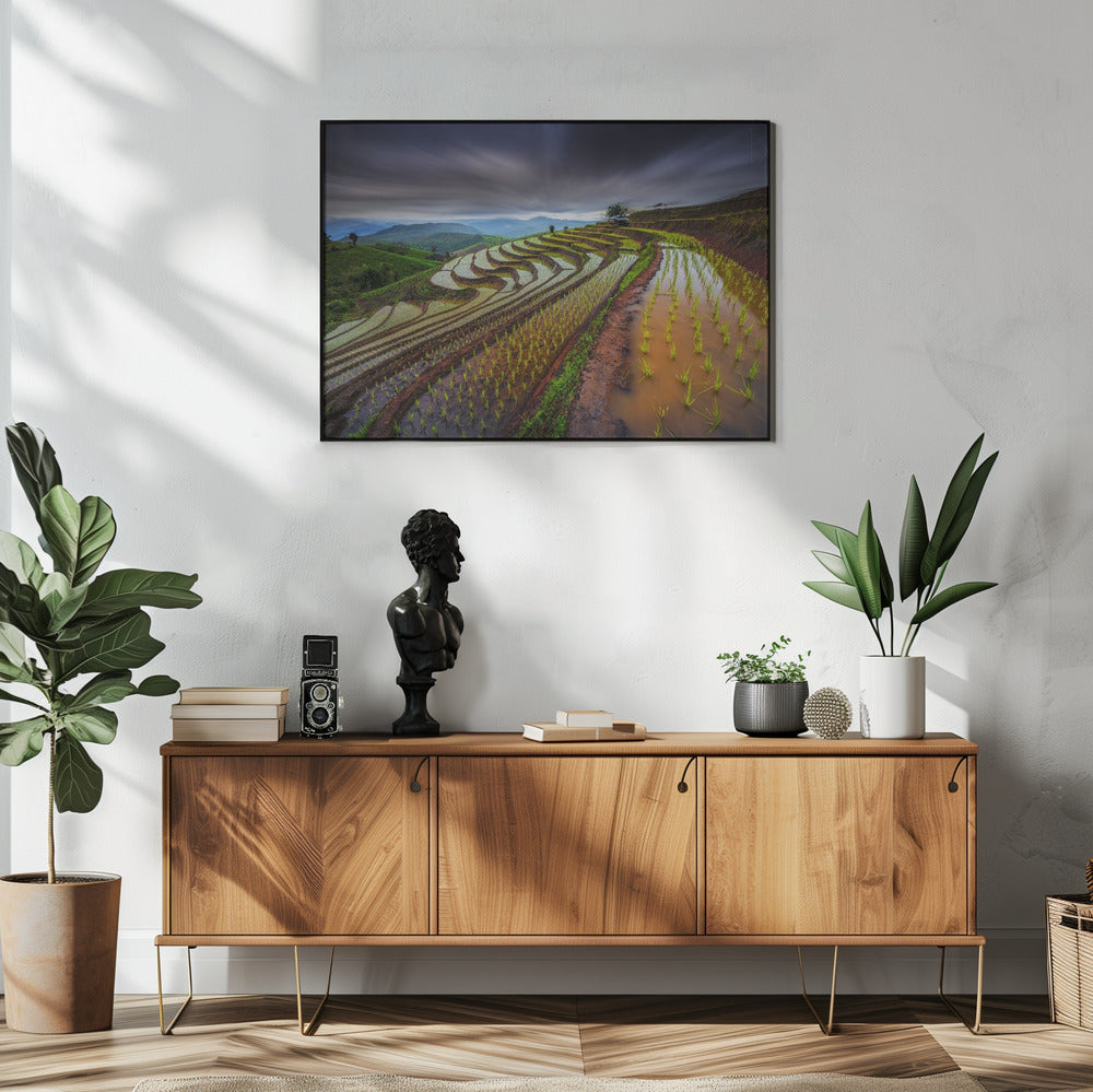 Unseen Rice Field | Poster