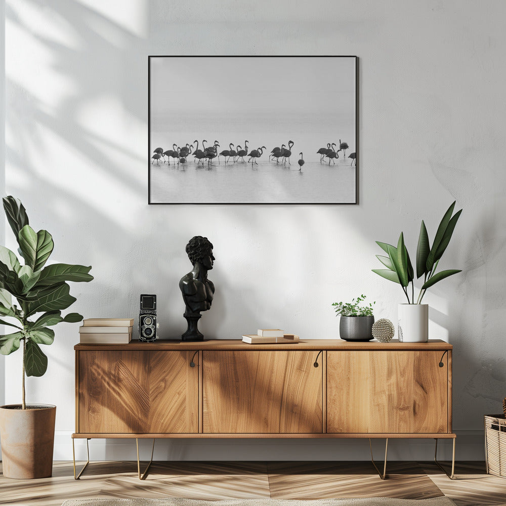 Flamingos | Poster