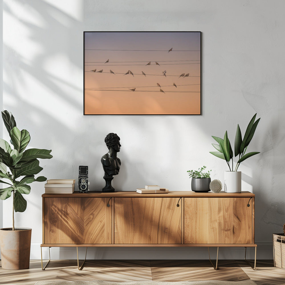 Music of Light | Poster
